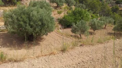 Terreno en venta en Campo - Vista 5
