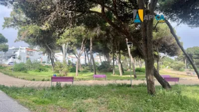 Apartment in Atalaya photo 22