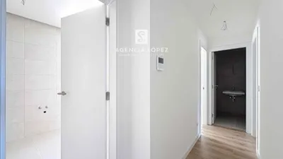 Penthouse in the Centre photo 12