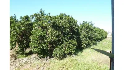 Terreno en venta en Lm Hasta Km.3 - Vista 2