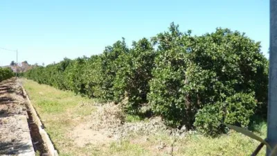 Terreno en venta en Lm Hasta Km.3 - Vista 3