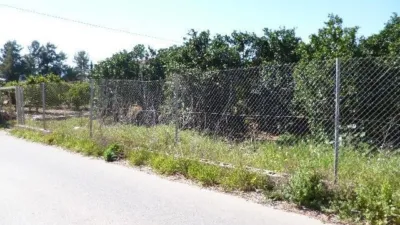 Terreno en venta en Lm Hasta Km.3 - Vista 4