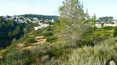 Casa - Vista 4