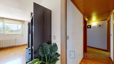 Apartment in Centre photo 11
