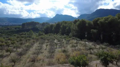 Terreno en venta en La Plana - Vista 5