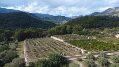 Terreno en venta en La Plana - Més