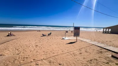 Apartment in Playa Centro Guardamar photo 27