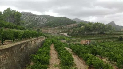 Rustic farm in Pego photo 7
