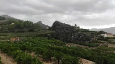 Rustic farm in Pego photo 8
