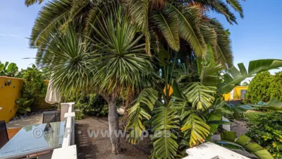 House on La Bombilla Street, Tazacorte — La Palma Island, Canary Islands photo 51