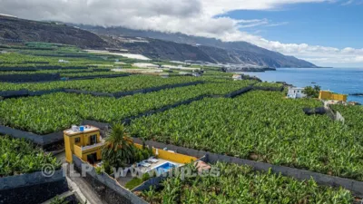 House on La Bombilla Street, Tazacorte — La Palma Island, Canary Islands photo 69