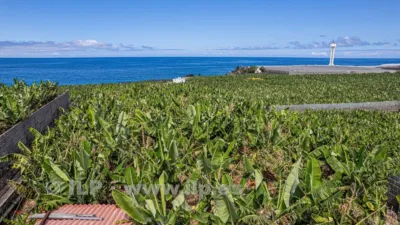 House on La Bombilla Street, Tazacorte — La Palma Island, Canary Islands photo 74