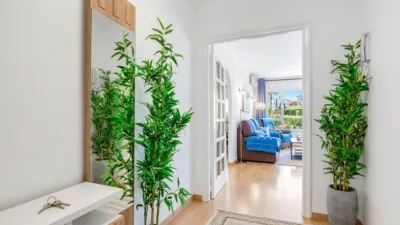 Apartment in Los Calpes photo 11