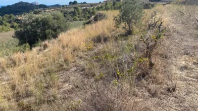 Terreno en venta en Costa Blanca - Vista 2