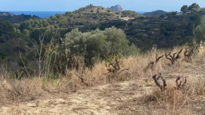 Terreno en venta en Costa Blanca - Vista 4