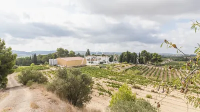 Rustic Finca in Castellet i la Gornal photo 49