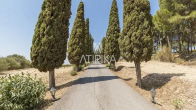 Rustic Finca in Castellet i la Gornal photo 50