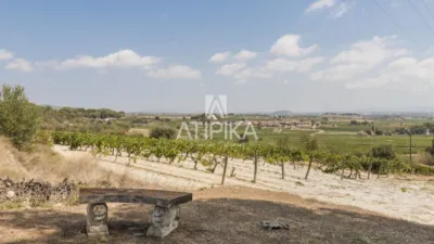 Rustic Finca in Castellet i la Gornal photo 53