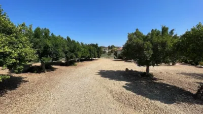 Chalet on Llano de La Rosa Street, No. 1 photo 24