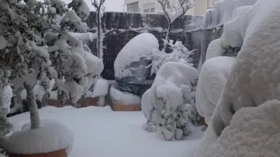 Ático en alquiler en Calle >C. Manuel Álvarez, Número > - Imagen 5