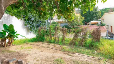 Chalet on Cami Dagell Street photo 63