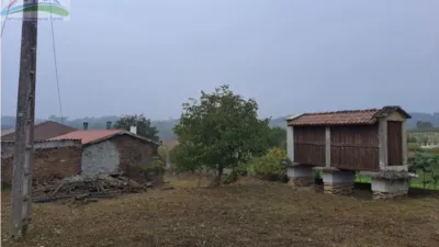 Rustic finca in Vila de Cruces photo 7