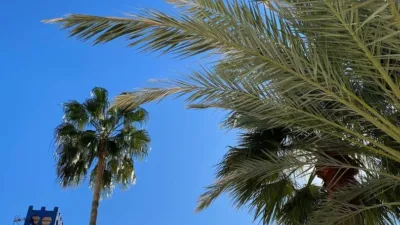 Penthouse in 4 Shopping Centre - El Palmeral photo 21