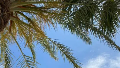 Penthouse in 4 Shopping Centre - El Palmeral photo 22