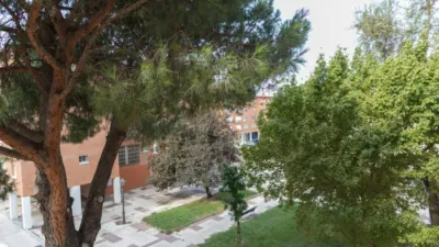 Piso en alquiler en Amposta - Imagen 8