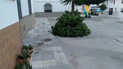 Terraced house in Barbate photo 3