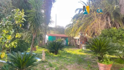 Chalet en Medina Sidonia photo 25