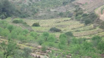 Terreno en venta en Benissa Pueblo - Vista 5
