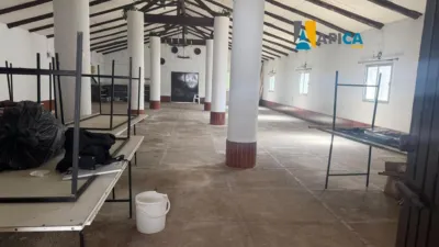 Chalet en venta en Pago del Humo-Polígono de Pelagatos, Pago del Humo-Polígono de Pelagatos (Chiclana de la Frontera) de 155.000 €