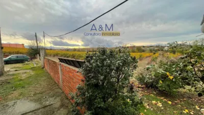 House in Rueda photo 12