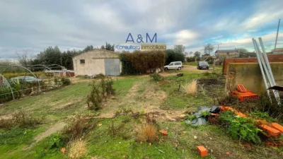 House in Rueda photo 2