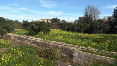 Casa – Dénia - Más