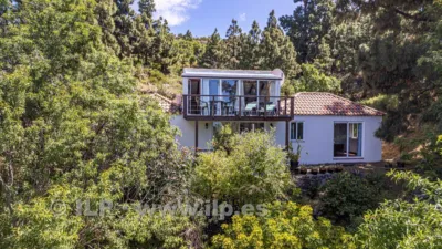 House on Camino de la Quinta photo 86