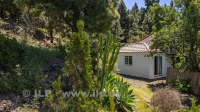 House on Camino de la Quinta photo 75