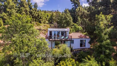 House on Camino de la Quinta photo 3