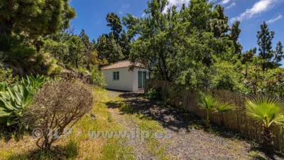 House on Camino de la Quinta photo 6