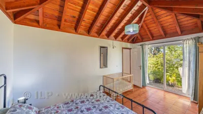 House on Camino de la Quinta photo 35