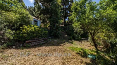 House on Camino de la Quinta photo 78