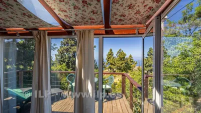 House on Camino de la Quinta photo 56