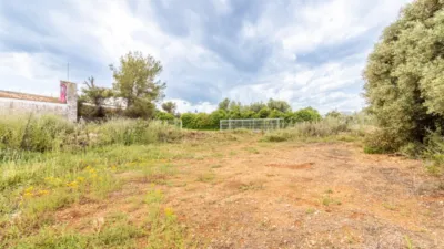 Terreno en venta en Pedreguer - Vista 4
