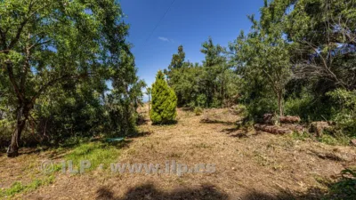 House on Camino de la Quinta photo 82