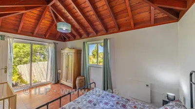 House on Camino de la Quinta photo 34