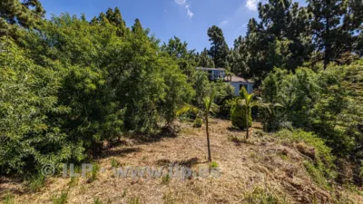 House on Camino de la Quinta photo 77