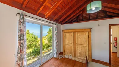 House on Camino de la Quinta photo 42