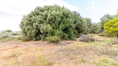 Terreno en venta en Pedreguer - Vista 3