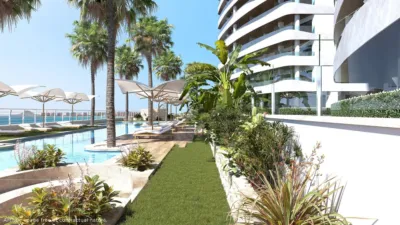 Apartment in Las Adelfas-Benicolada-Garduix photo 40